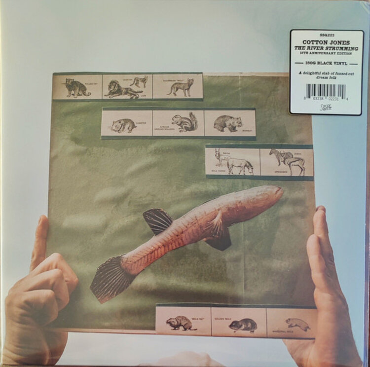 Cotton Jones - River Strumming LP