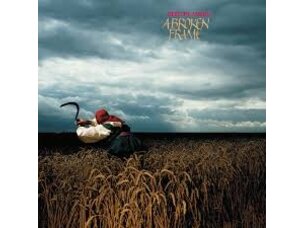 Rock / Indie / Alternative Depeche Mode - Broken Frame LP