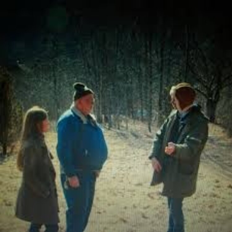 Rock / Indie / Alternative Dirty Projectors - Swing Lo Magellan LP