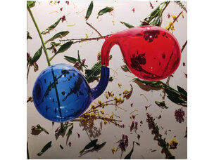 Rock / Indie / Alternative Dirty Projectors - Lamp Lit Prose LP