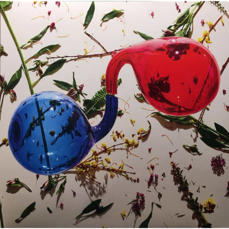 Rock / Indie / Alternative Dirty Projectors - Lamp Lit Prose LP