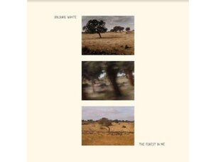 Xylouris White - The Forest In Me LP