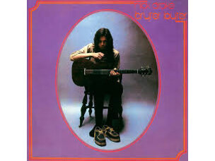 Rock / Indie / Alternative Nick Drake - Bryter Layter LP