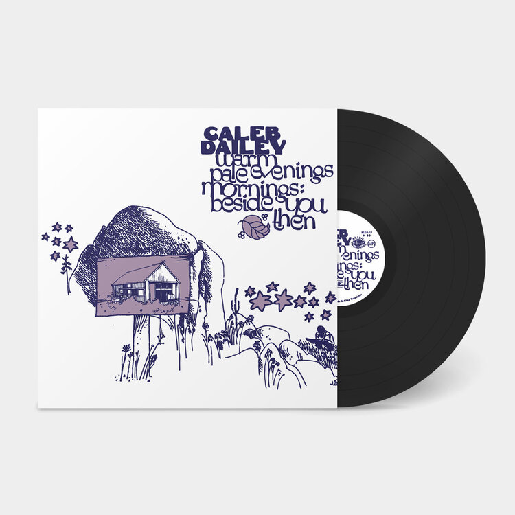 Country / Folk Dailey, Caleb - Warm Evenings... LP