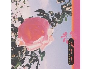 Rock / Indie / Alternative Dvr - Dirty Tapes LP