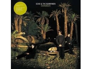 Rock / Indie / Alternative Echo and the Bunnymen - Evergreen LP (white, anniv edition)