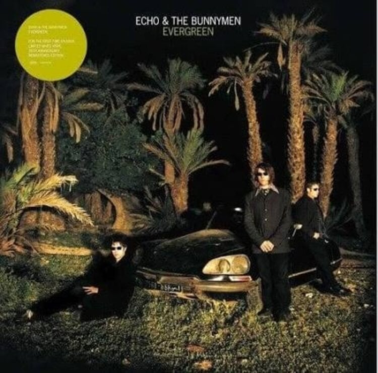 Rock / Indie / Alternative Echo and the Bunnymen - Evergreen LP (white, anniv edition)