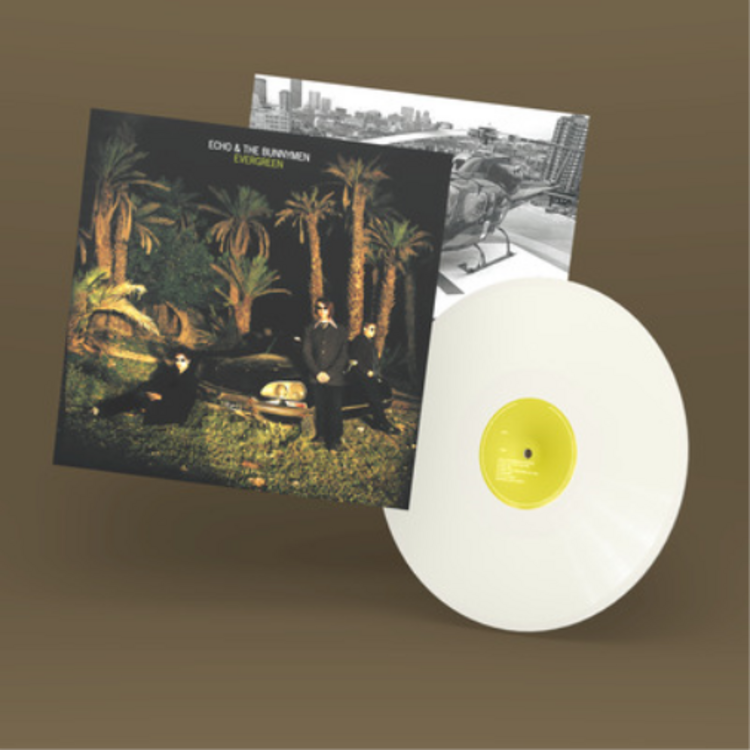Rock / Indie / Alternative Echo and the Bunnymen - Evergreen LP (white, anniv edition)