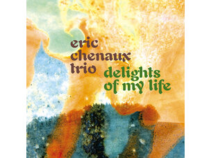 Rock / Indie / Alternative Eric Chenaux Trio - Delights of My... LP