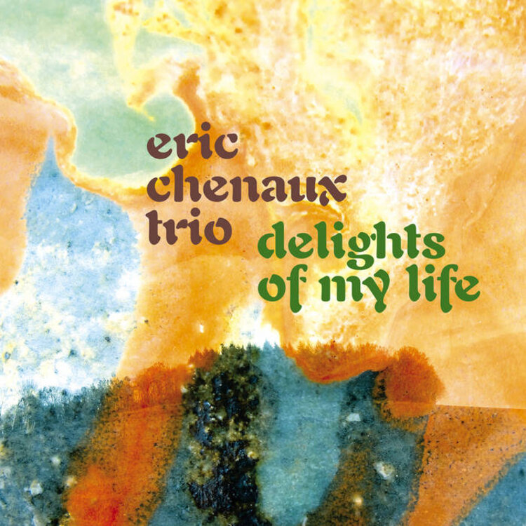 Rock / Indie / Alternative Chenaux, Eric Trio - Delights of My... LP