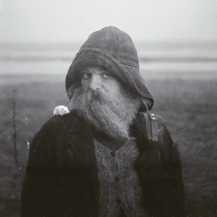 Rock / Indie / Alternative Mary In The Junkyard - Role Model Hermit (Iex) LP