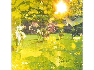 Rock / Indie / Alternative Essex Green -Everything is Green LP