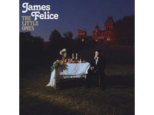 Rock / Indie / Alternative James Felice - Little Ones LP (brown)