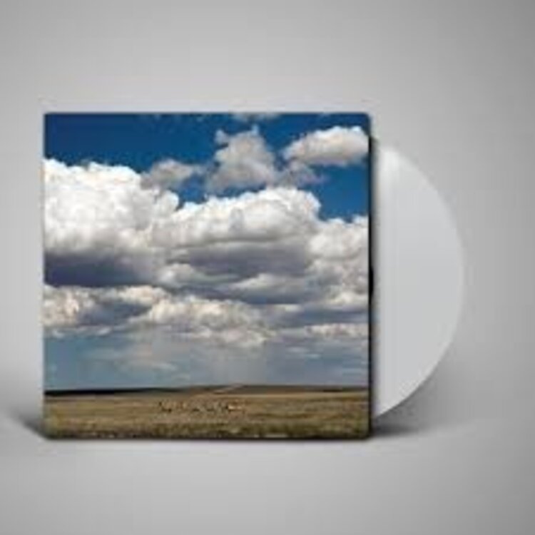 Rock / Indie / Alternative Fruit Bats - Tripper LP reissue