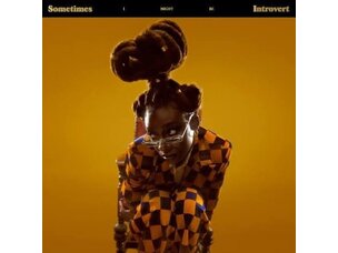 Hip Hop Little Simz - Sometimes I Might Be An Introvert LP