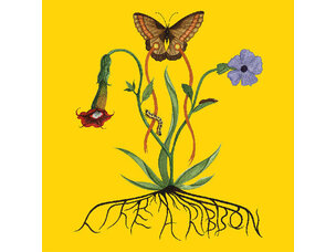 Rock / Indie / Alternative Glacier, John - Like A Ribbon LP