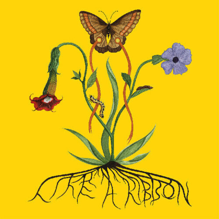 Rock / Indie / Alternative Glacier, John - Like A Ribbon LP