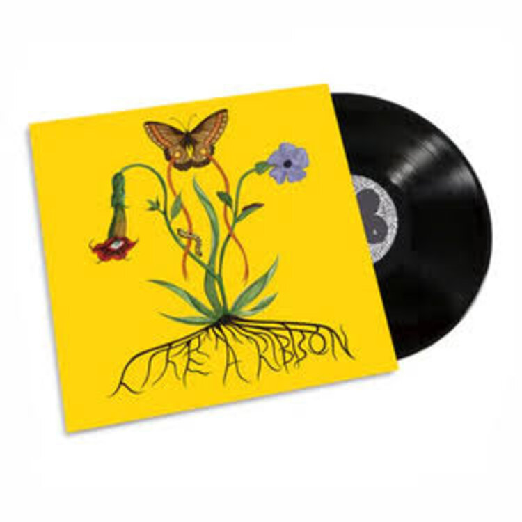 Rock / Indie / Alternative Glacier, John - Like A Ribbon LP