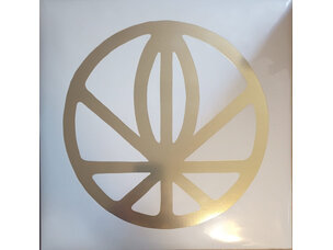 Rock / Indie / Alternative Gayngs - Relayted LP