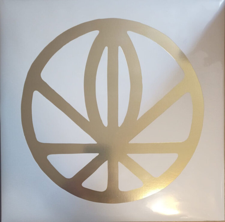 Rock / Indie / Alternative Gayngs - Relayted LP