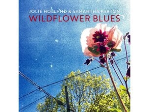 Rock / Indie / Alternative Jolie Holland & Samantha Parton - Wildflower Blues