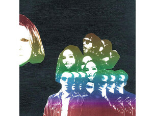 Rock / Indie / Alternative Ty  Segall - Freedom’s Goblin LP