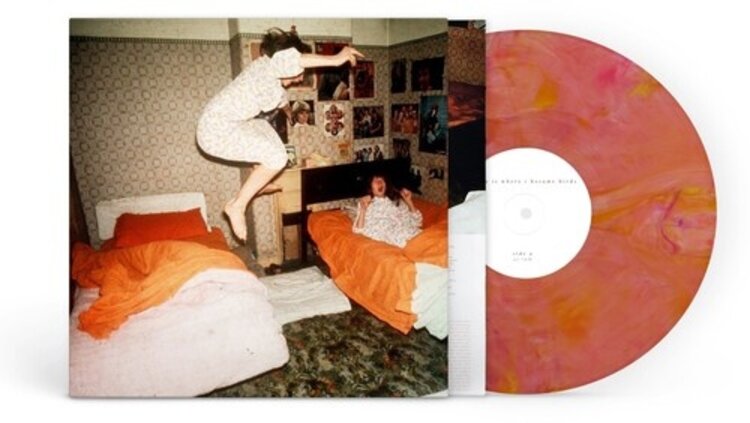Rock / Indie / Alternative Home is Where - I Became Birds LP (guava)