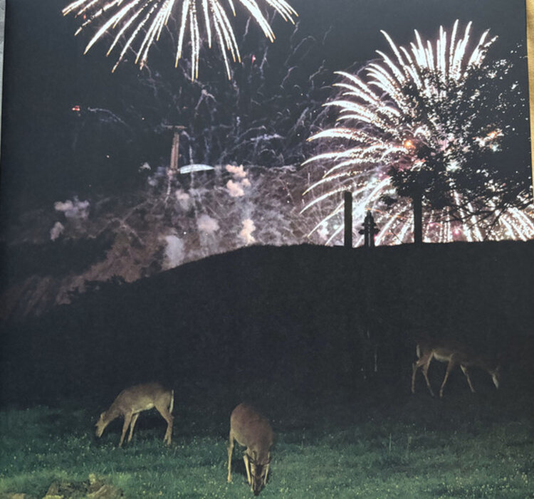 Rock / Indie / Alternative Home is Where - Hunting Season LP (green)