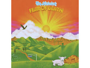 Rock / Indie / Alternative Tim Heidecker - Fear of Death LP