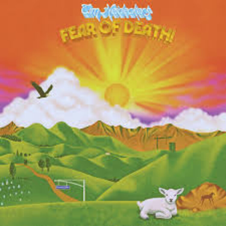 Rock / Indie / Alternative Heidecker, Tim - Fear of Death LP