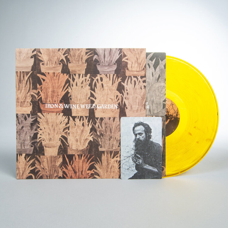 Rock / Indie / Alternative Islands - What Occurs LP (gold)