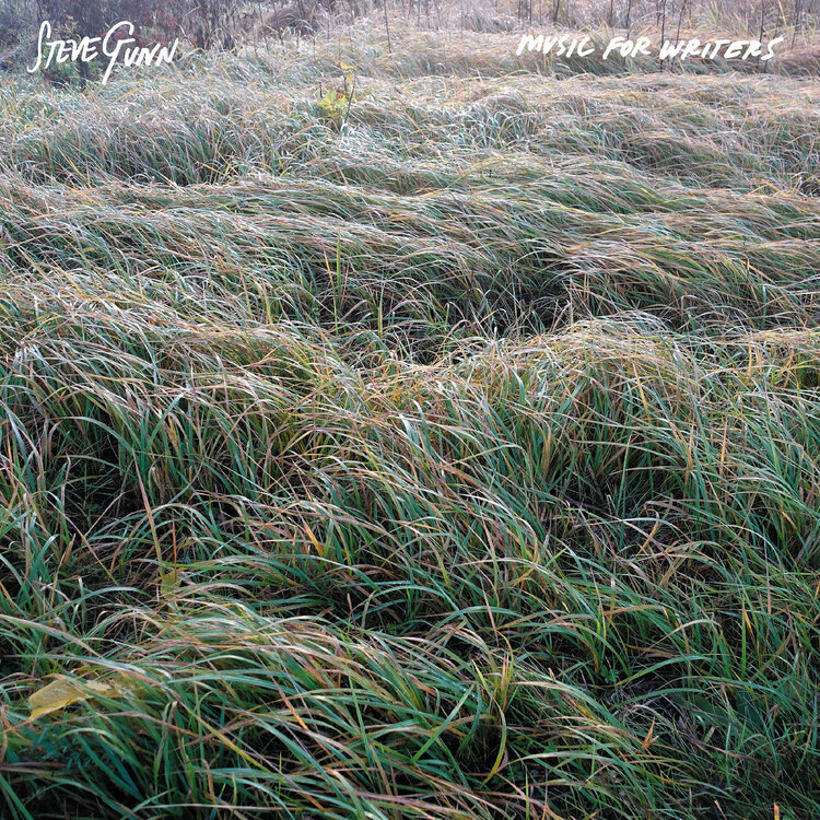 Rock / Indie / Alternative Gunn, Steve - Music for Writers LP