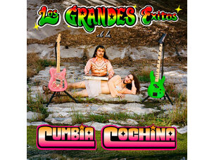 Cumbia Cochina - Los Grandes Exitos... LP