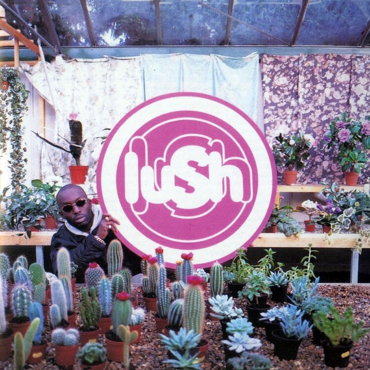 Rock / Indie / Alternative Lush - Lovelife LP