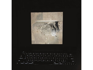 Rock / Indie / Alternative Lambchop - The Bible LP (yellow/black)
