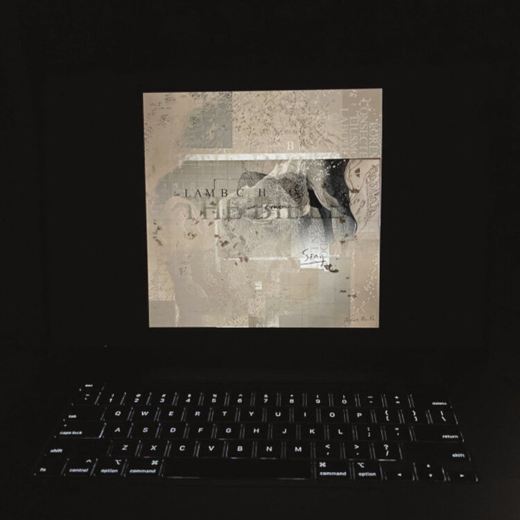 Rock / Indie / Alternative Lambchop - The Bible LP (yellow/black)