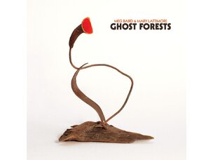 Rock / Indie / Alternative Meg Baird and Mary Lattimore - Ghost Forests LP (green)