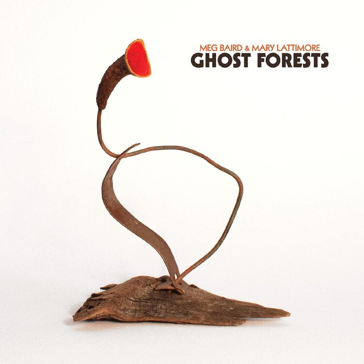 Rock / Indie / Alternative Baird, Meg and Mary Lattimore - Ghost Forests LP (green)