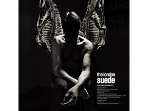 Rock / Indie / Alternative London Suede - Antidepressants LP
