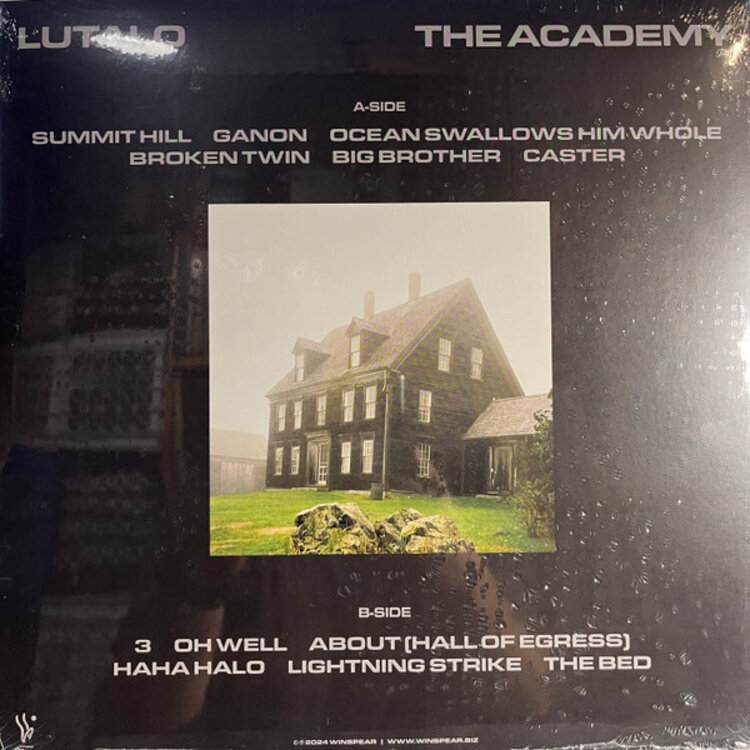 Rock / Indie / Alternative Lutalo - Academy LP