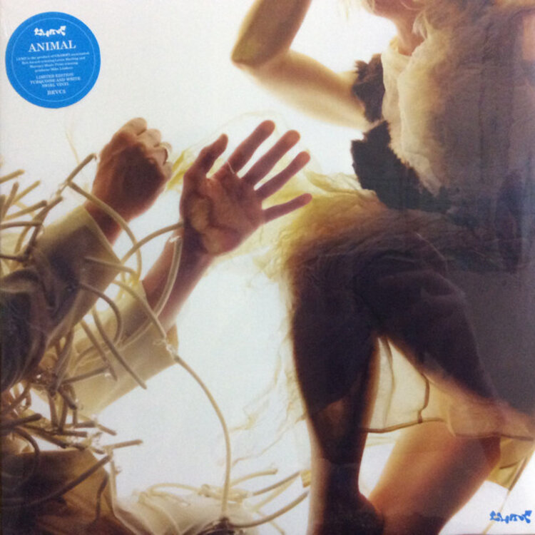 Rock / Indie / Alternative Lump - Animal (turquoise and white LP)
