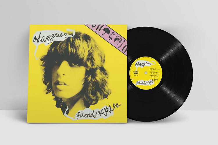 Rock / Indie / Alternative Green, Adam - Friends Of Mine LP