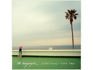 Rock / Indie / Alternative Menzingers - Everything I Ever Saw (Iex) LP