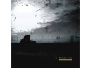 Rock / Indie / Alternative envy 'Insomniac Doze (Anniversary Edition)' (Metallic Gold 2x Vinyl LP)