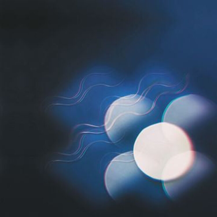 Rock / Indie / Alternative Mutual Benefit - Thunder Follows The Light