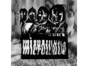 Rock / Indie / Alternative Microwave - Much Love LP (purple nebula)