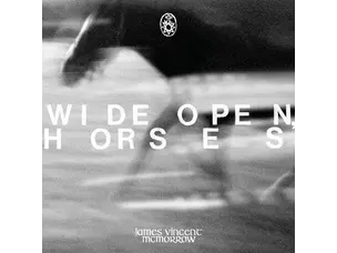Rock / Indie / Alternative James McMorrow - Wide Open LP