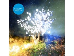 Rock / Indie / Alternative Notwist - Vertigo Days LP