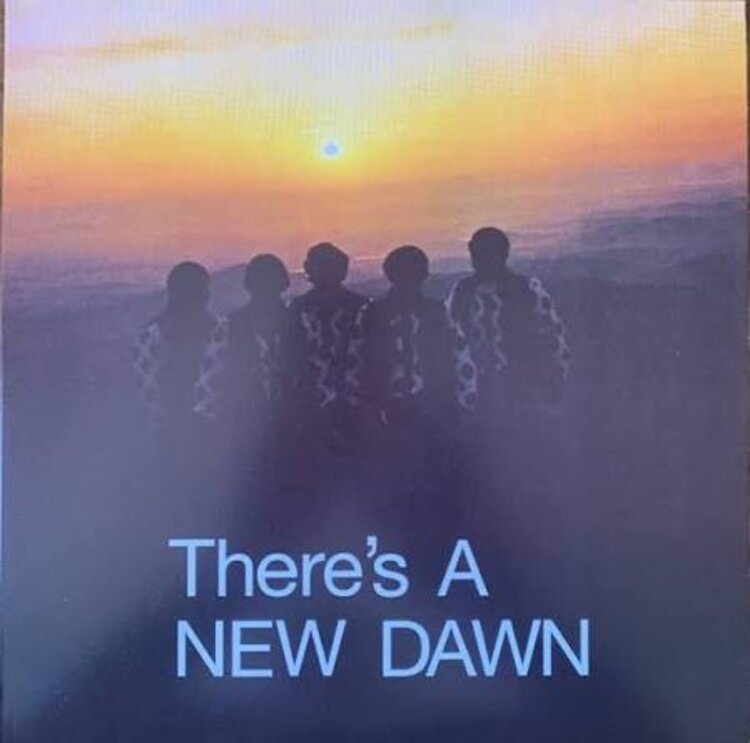 Rock / Indie / Alternative New Dawn - There’s A New Dawn LP(orange)