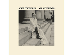 Rock / Indie / Alternative O'Donovan, Aiofe - All my Friends LP (violet)